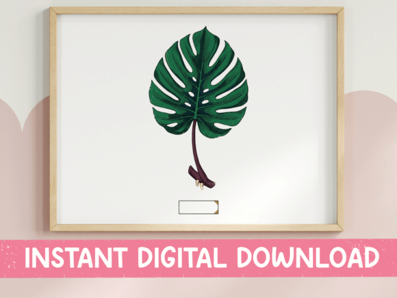 Download Monstera Leaf Botanical Label Design - Monster Collection